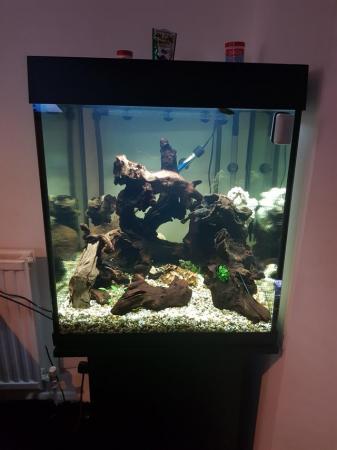 Image 4 of Large fish tank with stand