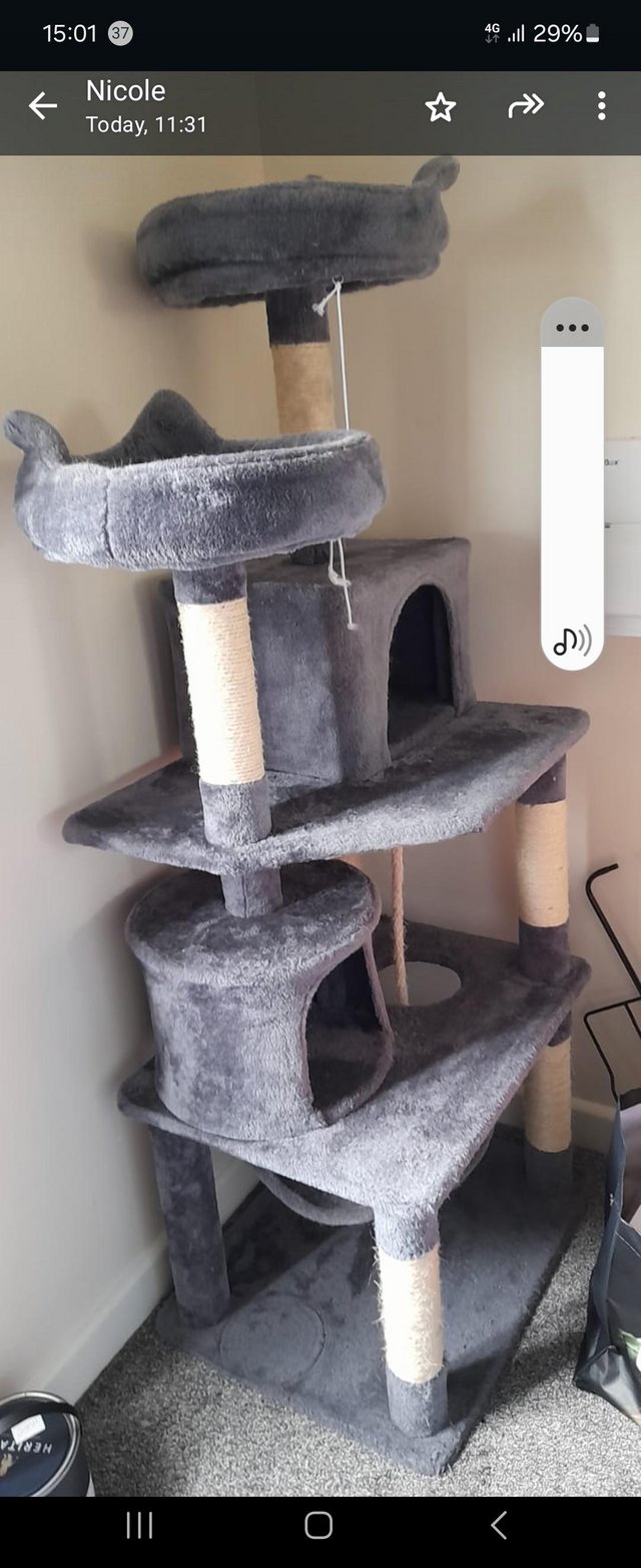 Preview of the first image of Cat Tree/scratch post/ comfort zones.
