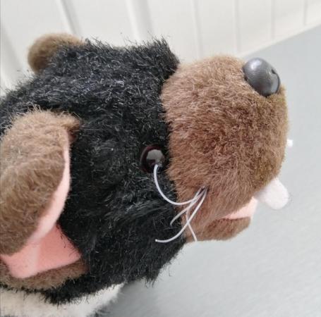 Image 11 of A Small "Tasmanian Devil" Soft Toy by Windmill Toys, Austral