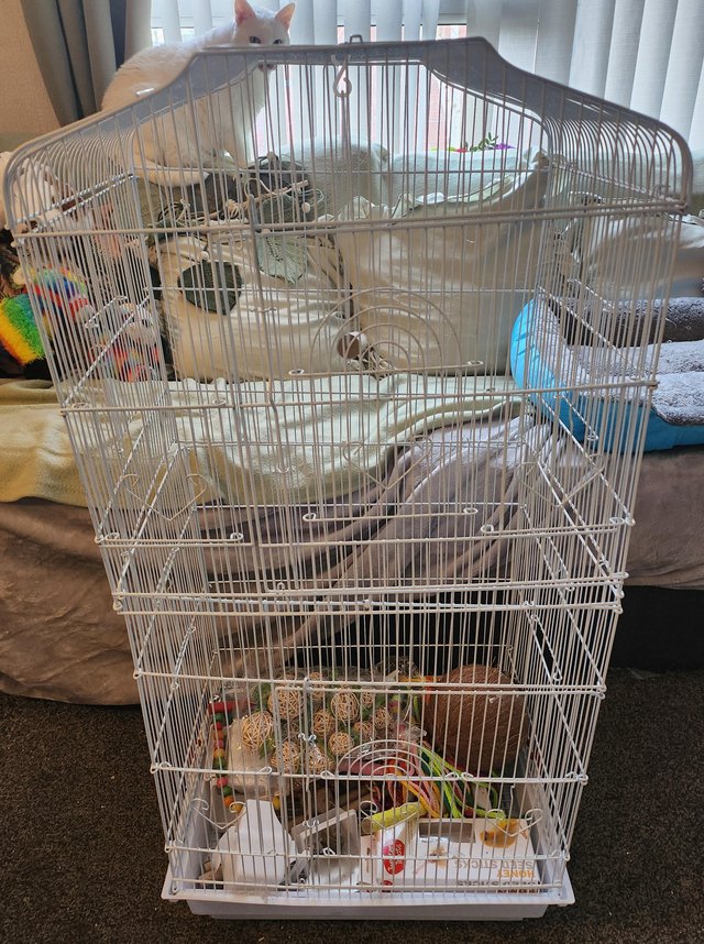 Preview of the first image of Brand new large bird cage with acc.