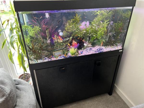 Image 4 of 200l fish tank and stand with everything u need all breeding