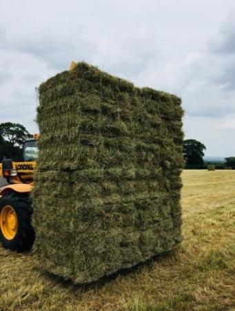 Image 6 of Hay for horses starting from £4