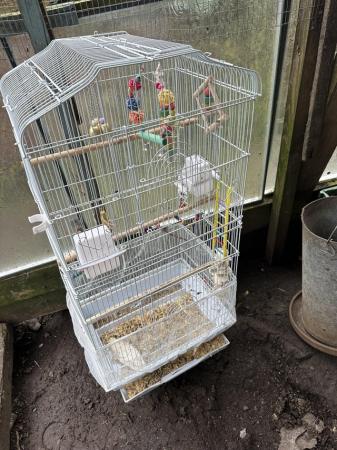Image 4 of Budgie and parrot cages