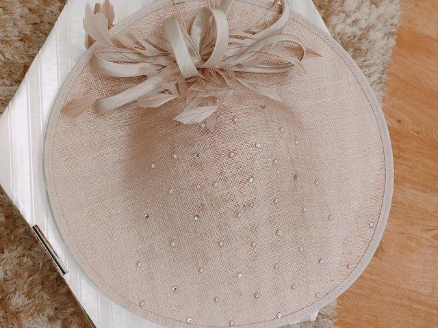 Preview of the first image of Mother of the bride/groom hatinator.