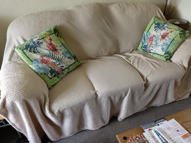 Preview of the first image of 3 Seater Sofa Cushions & Throw.
