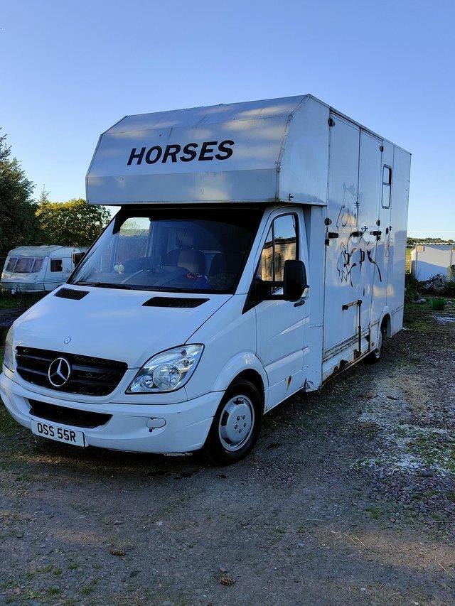 Preview of the first image of 3.5 ton mercedes horsebox.
