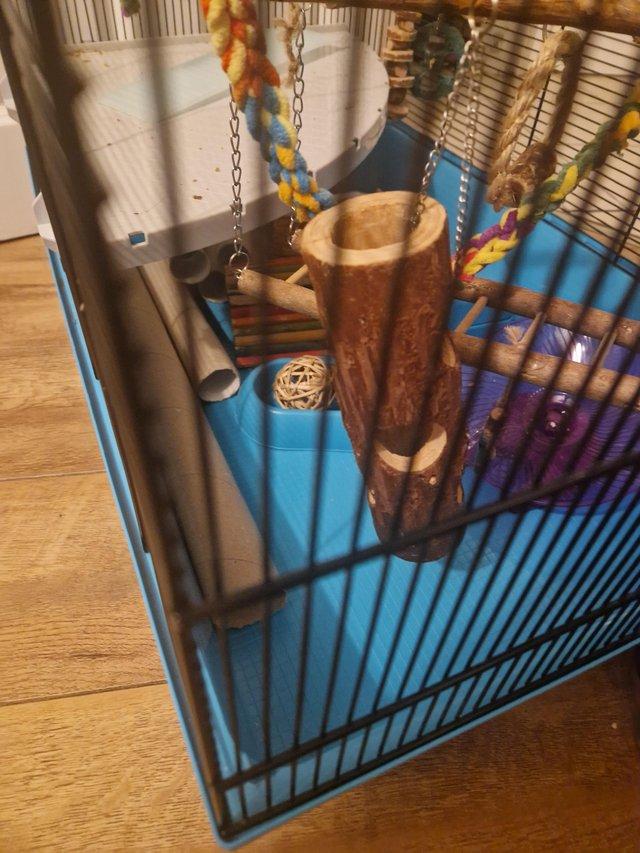 Preloved hamster cage hotsell