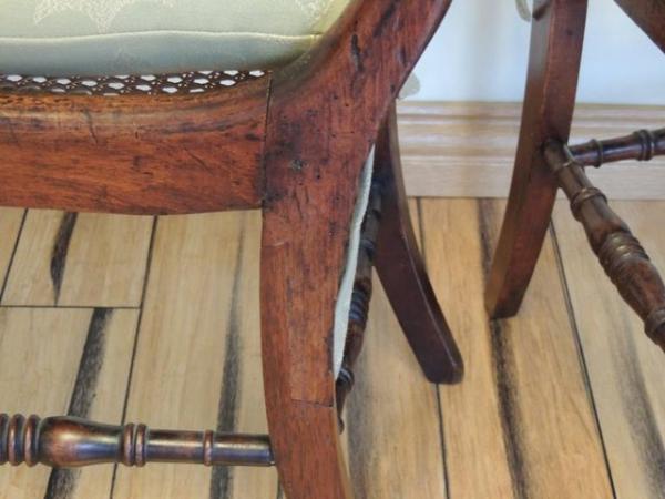 Image 15 of Pair of Regency Antique Chairs (UK Delivery)