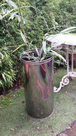 Image 6 of Stylish Contemporary Look Chrome Plant Planter