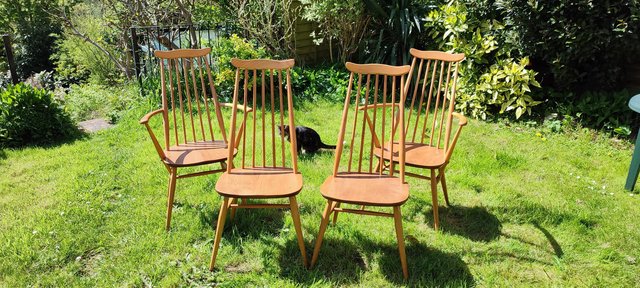 Image 3 of Vintage Ercol Goldsmith Chairs (2 carvers/2 dining).
