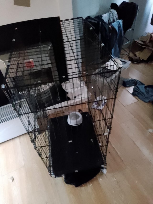 Preview of the first image of Medium Cozy pet  indoor ferret cage on wheels.