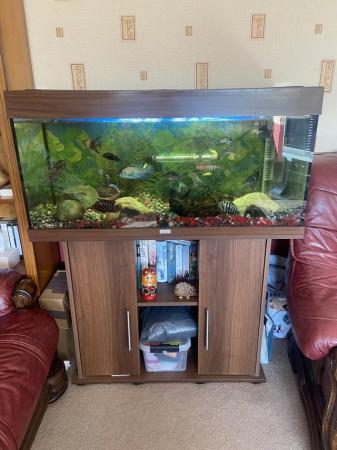 Image 3 of Jewel 180 Aquarium. Full set up