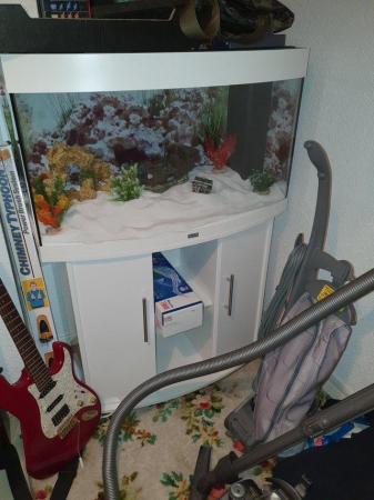Image 2 of Bow fronted marine tank on white cabinet
