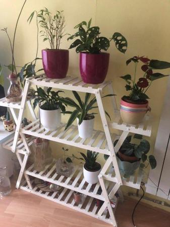 Image 1 of Beautiful multi-tier plant stand
