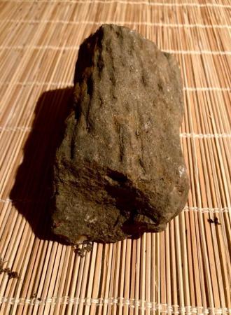 Image 1 of Stigmaria tree root fossil (Yorkshire)