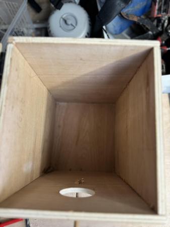 Image 4 of Nestbox for parrots parakeets