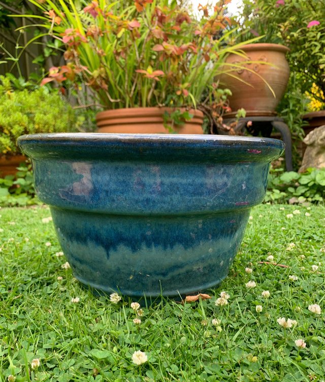 Preview of the first image of Glazed frost proof garden plant pot.