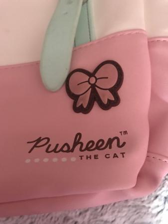 Image 3 of Pusheen cat backpack pink and white