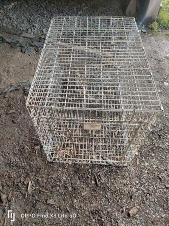 Image 4 of Cat/dog/ poultry crate for sale