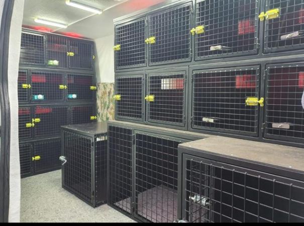 Image 4 of Profesional cages for pet transport