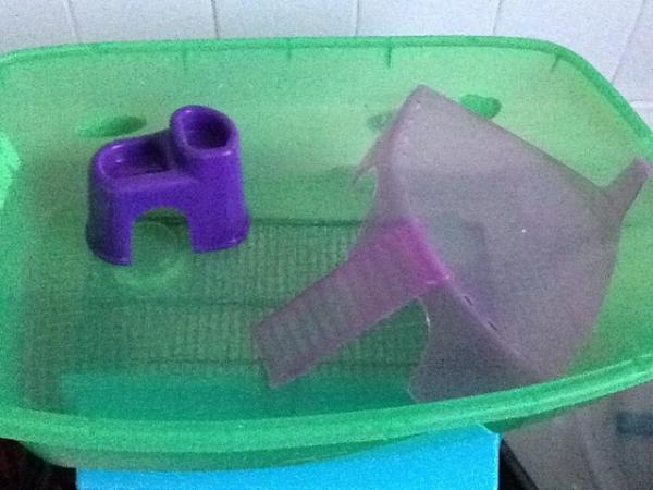 Image 1 of Hamster Tank with bits and bobs