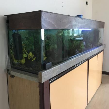Image 6 of Large Fish Tank and Equipment