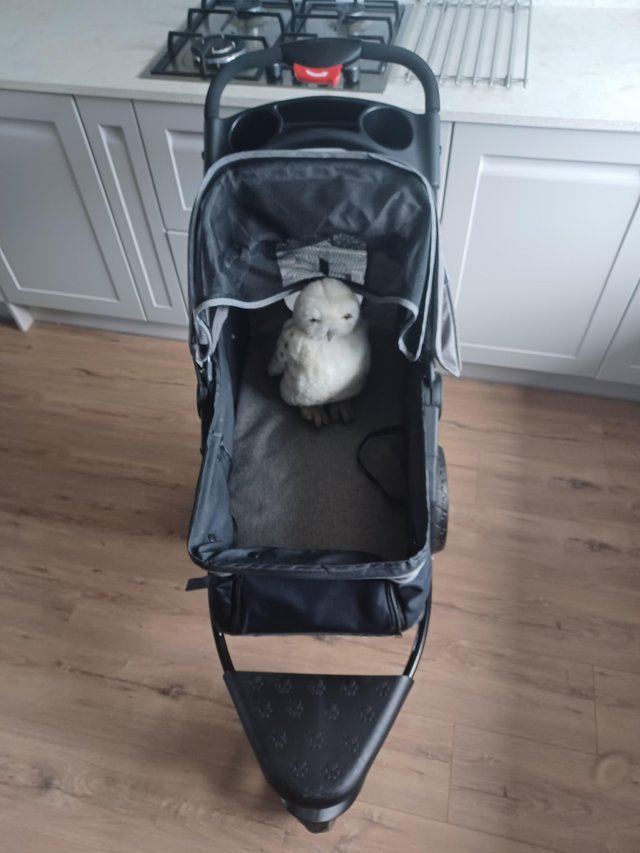 Preview of the first image of Dog stroller with raincover.