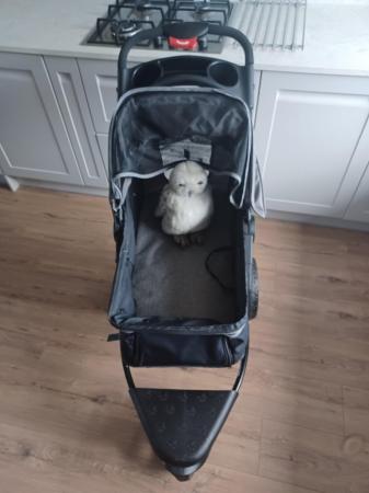 Image 1 of Dog stroller with raincover