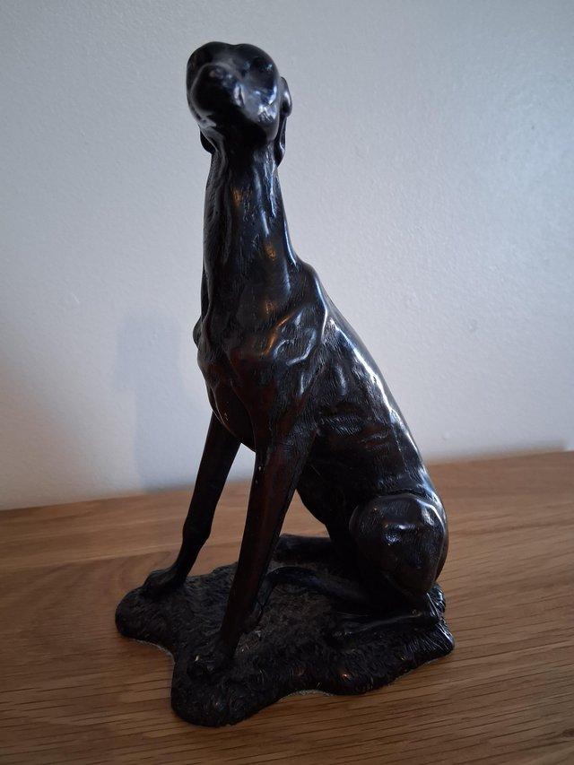Set of four Greyhound lurchers — photo 3 of 3