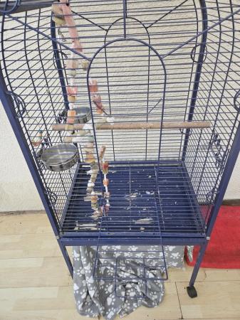 Image 4 of Big bird cage for sale derby