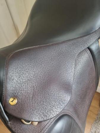Image 1 of Black Country Classic Show Saddle 18" Wide