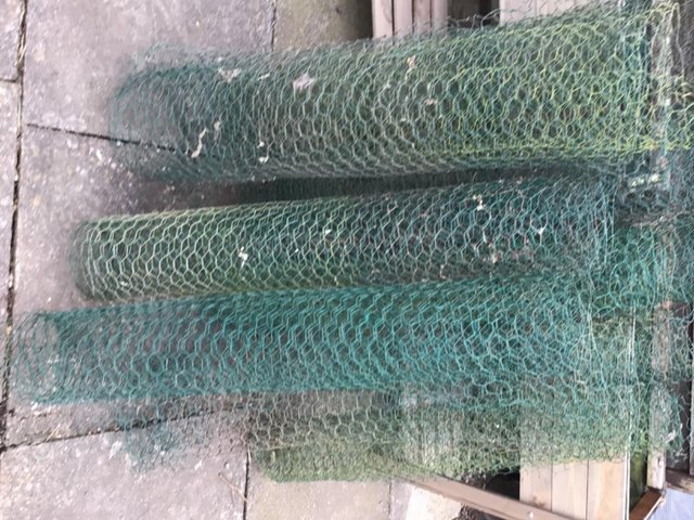 Preview of the first image of PVC coated wire mesh for sale.