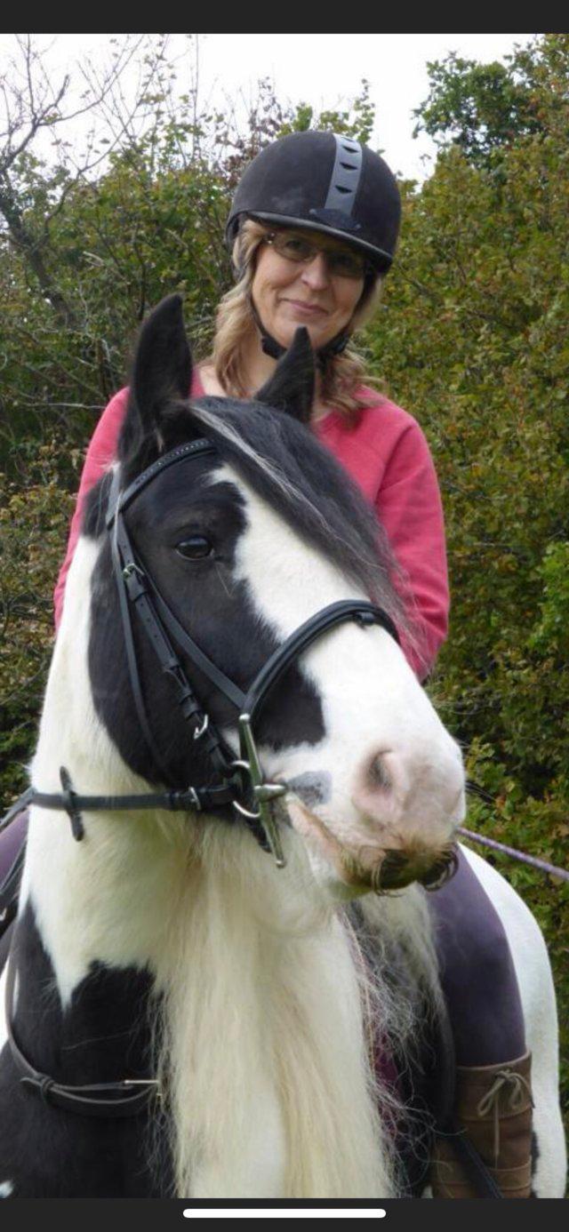 Preview of the first image of Gypsy Cob Mare for share/hacking £130 pcm.