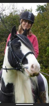 Image 1 of Gypsy Cob Mare for share/hacking £130 pcm