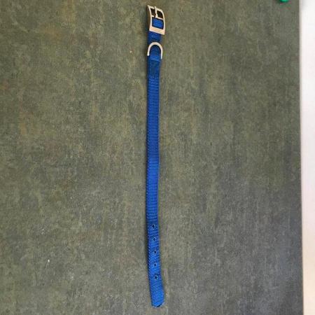 Image 5 of Canac Dog Collar, Blue Nylon, Size 30 – 35 cm. Can post.