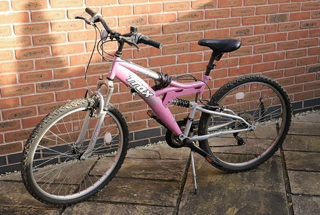 Trax mountain bike online pink