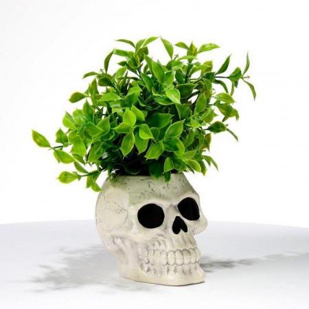 Image 3 of Shaped Ceramic Garden Planter/Plant Pot - Ancient Skull.