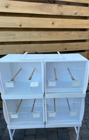 Image 3 of Plastic Breeding Cages With Stands