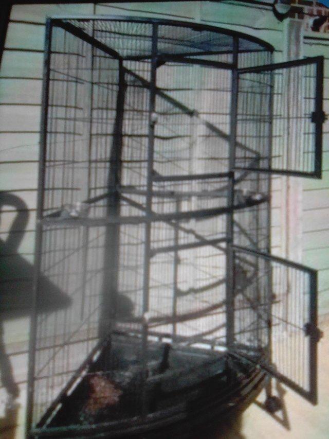 Preview of the first image of Looking for a corner parrot cage.
