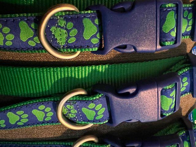 Preview of the first image of Large nylon dog collars also have one medium in the big paw.