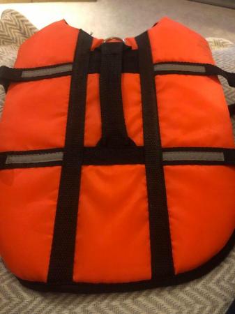 Image 3 of New Dog’s buoyancy aid/lifejacket