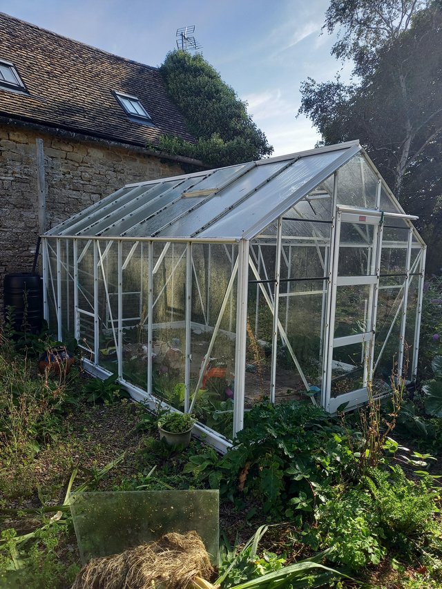 Preview of the first image of Elite Belmont greenhouse, 14ft x 8ft, refurbished.
