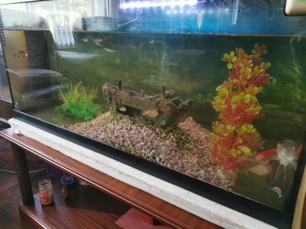 Image 2 of Excellent goldfish tank & table stand.