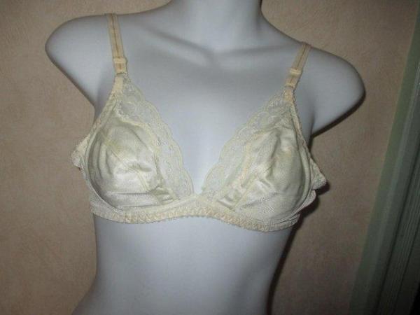 Image 1 of LADEIS LACEY BRA - DOROTHY PERKINS