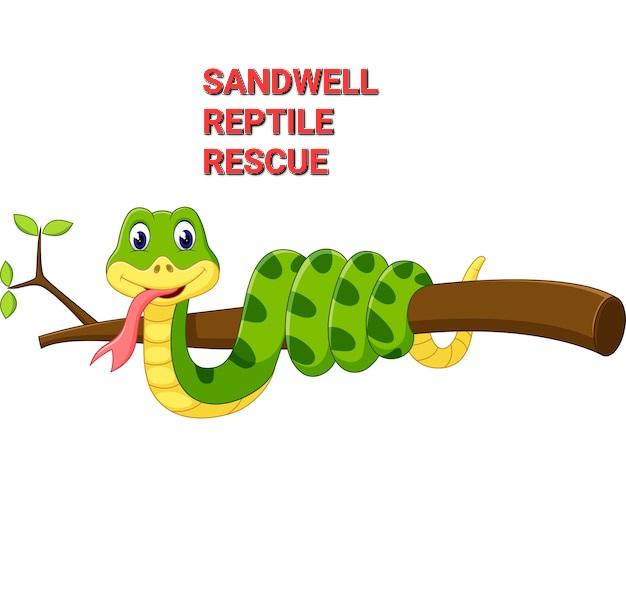 Preview of the first image of Reptile rehoming services.