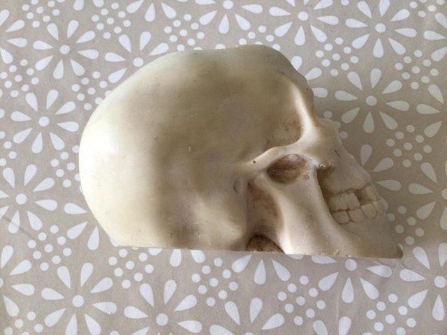 Preview of the first image of SKULL SHAPED ASHTRAY/POT CARVED IN WHITE STONE.