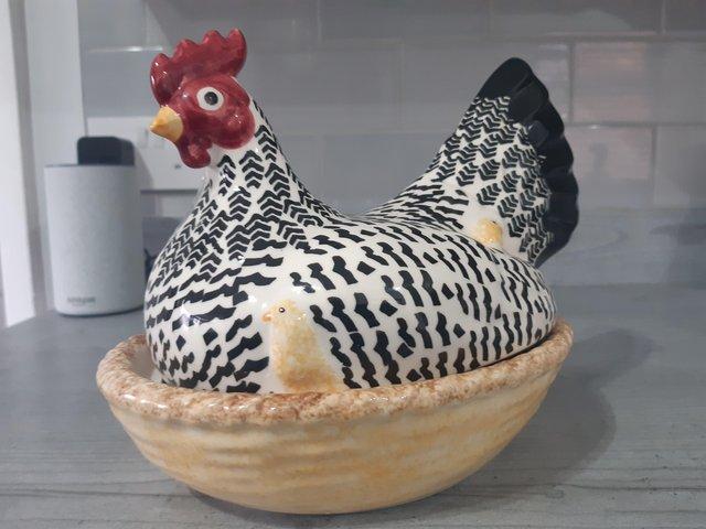 Preview of the first image of Emma Bridgewater hen on nest.
