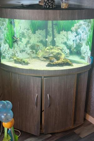 Image 4 of 3 ft Fish tank full set up