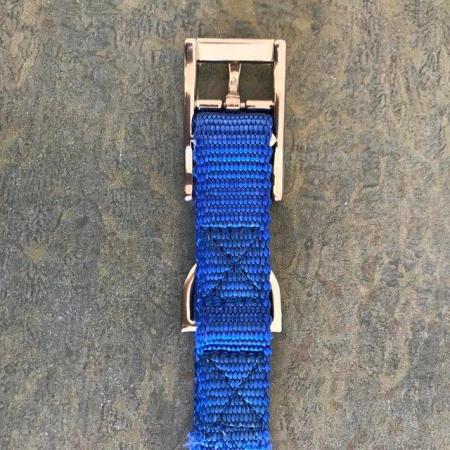 Image 4 of Canac Dog Collar, Blue Nylon, Size 30 – 35 cm. Can post.