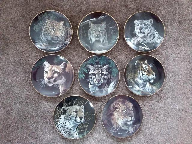 Preview of the first image of HAMILTON COLLECTION NATURES MAJESTIC CATS PORCELAIN PLATES.